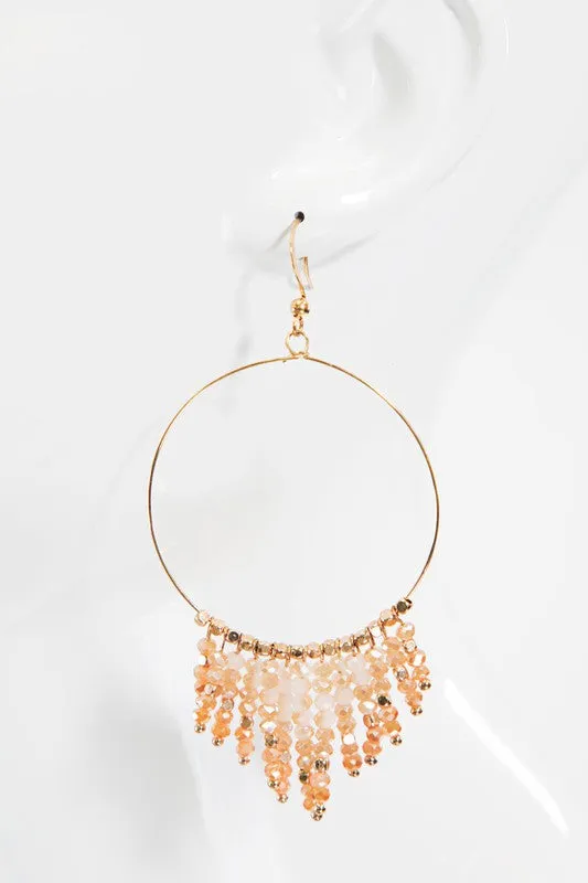 Beaded Tassel And Ring Earrings