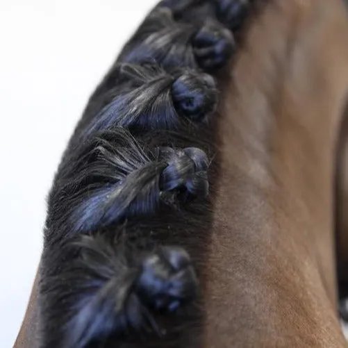 Hairy Pony Sectioning Comb