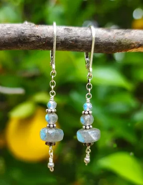 Labradorite 'Single Chandelier' Earrings