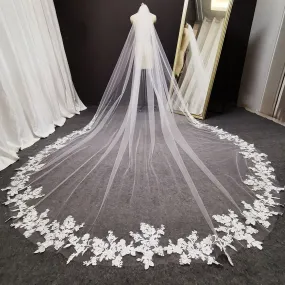 Long Lace Wedding Veil 3 Meters Long Cathedral Bridal Veil with Hair Comb